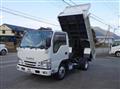 2017 Isuzu Elf Truck