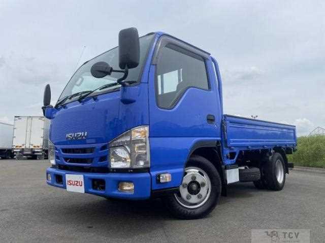 2018 Isuzu Elf Truck