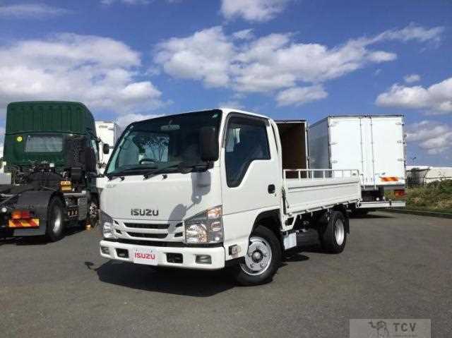 2019 Isuzu Elf Truck