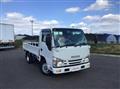 2019 Isuzu Elf Truck