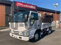 2019 Isuzu Elf Truck