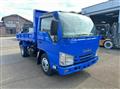 2019 Isuzu Elf Truck