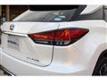 2019 Lexus RX