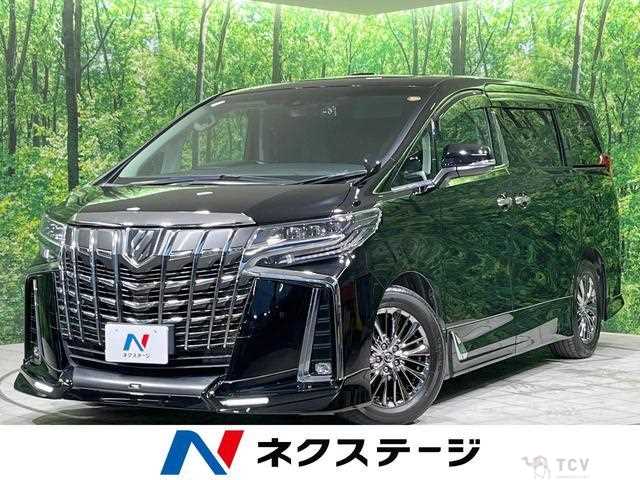 2019 Toyota Alphard G
