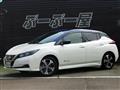 2018 Nissan Leaf