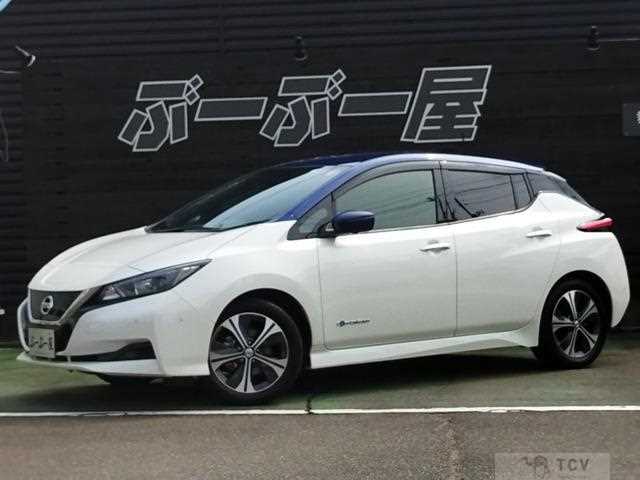 2018 Nissan Leaf