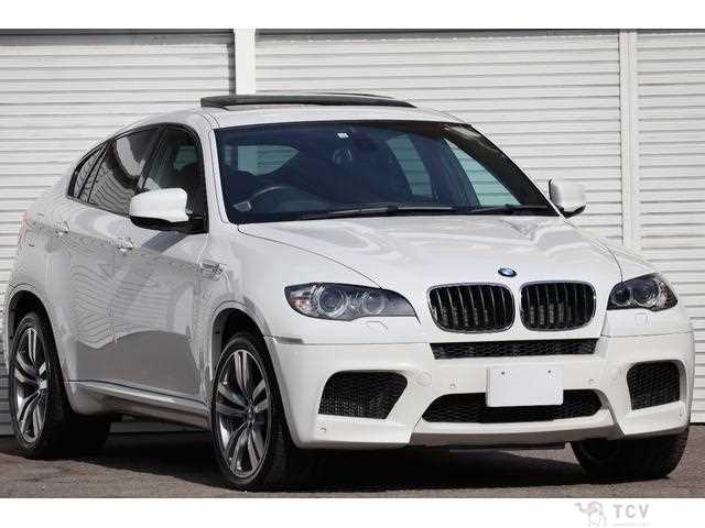 2011 BMW X6