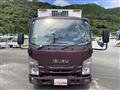 2019 Isuzu Elf Truck