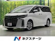 2019 Toyota Alphard G