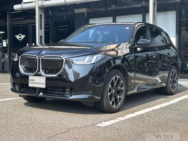 2025 BMW X3