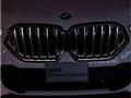 2021 BMW X6