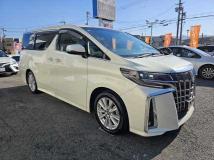 2019 Toyota Alphard G