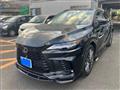 2024 Lexus RX