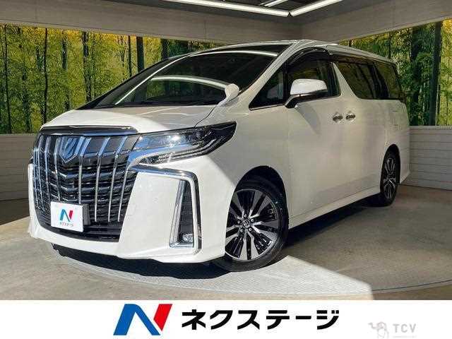 2019 Toyota Alphard G