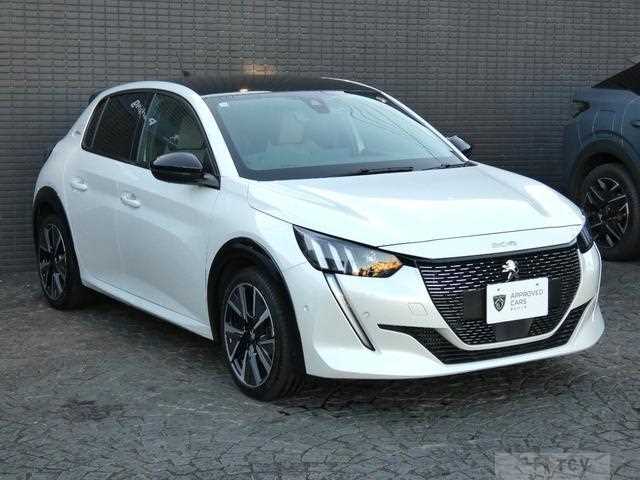 2020 Peugeot Peugoet Others