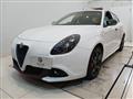 2021 Alfa Romeo Alfa Romeo Others