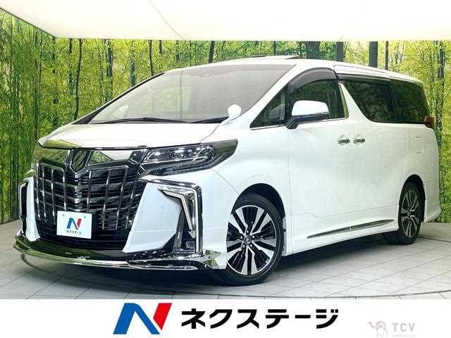 2019 Toyota Alphard G