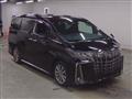 2021 Toyota Alphard G