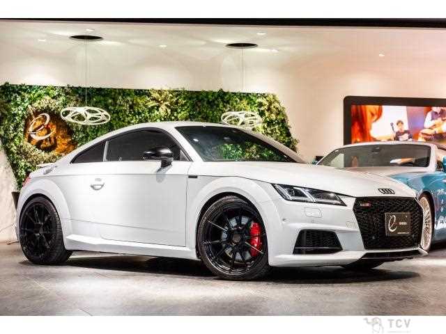 2015 Audi TTS