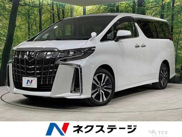 2019 Toyota Alphard G