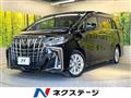 2019 Toyota Alphard G