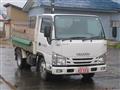 2015 Isuzu Elf Truck