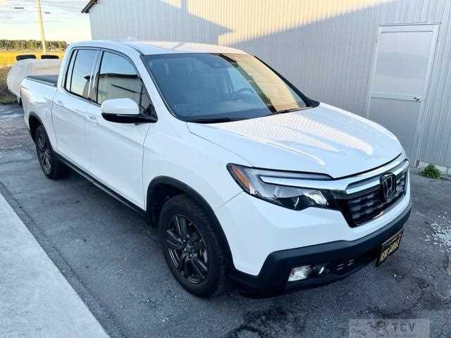 2020 Other All Other All