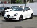 2019 Alfa Romeo Alfa Romeo Others
