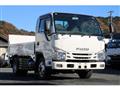 2017 Isuzu Elf Truck