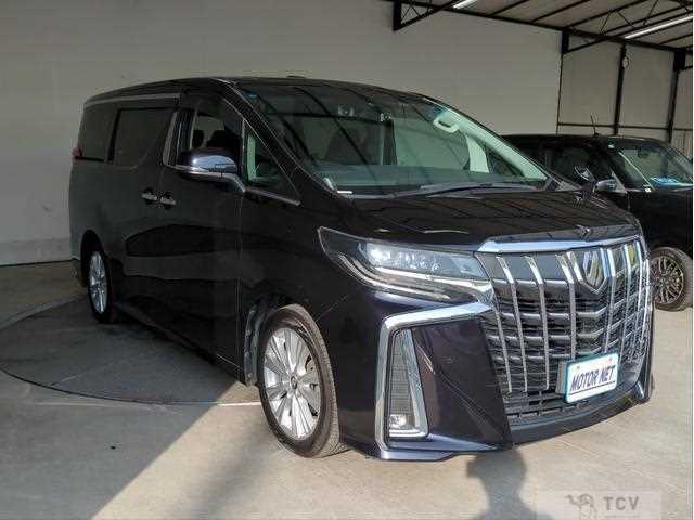 2019 Toyota Alphard G