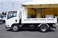 2017 Isuzu Elf Truck