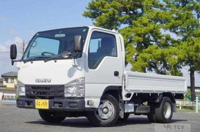 2018 Isuzu Elf Truck
