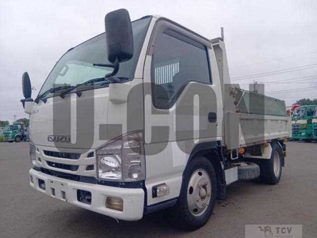2019 Isuzu Elf Truck