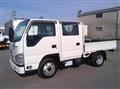 2019 Isuzu Elf Truck