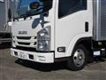 2020 Isuzu Elf Truck