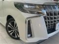 2019 Toyota Alphard G