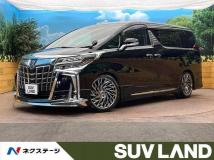 2019 Toyota Alphard G