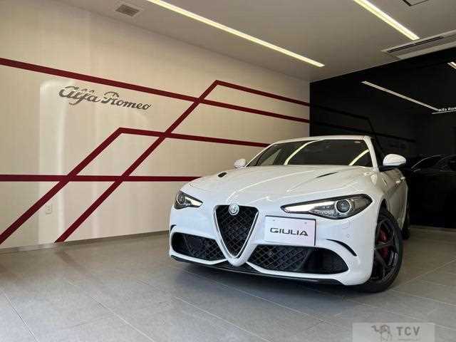 2019 Alfa Romeo Alfa Romeo Others
