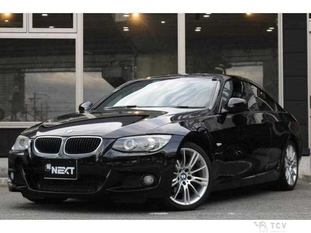 2010 BMW 3 Series