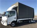 2020 Toyota Dyna Truck