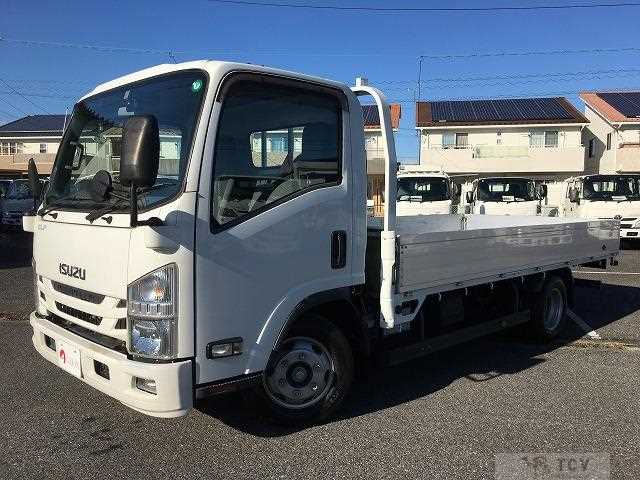2019 Isuzu Elf Truck