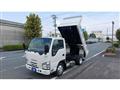 2016 Isuzu Elf Truck