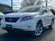 2010 Lexus RX
