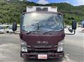 2019 Isuzu Elf Truck