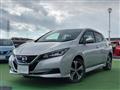 Nissan/Leaf