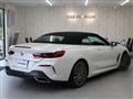 2019 BMW 8 Series