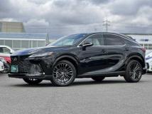 2025 Lexus RX