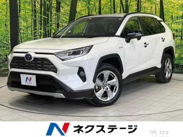 2019 Toyota RAV4