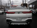 2025 BMW X6