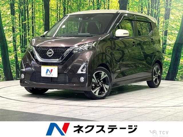 2019 Nissan Nissan Others